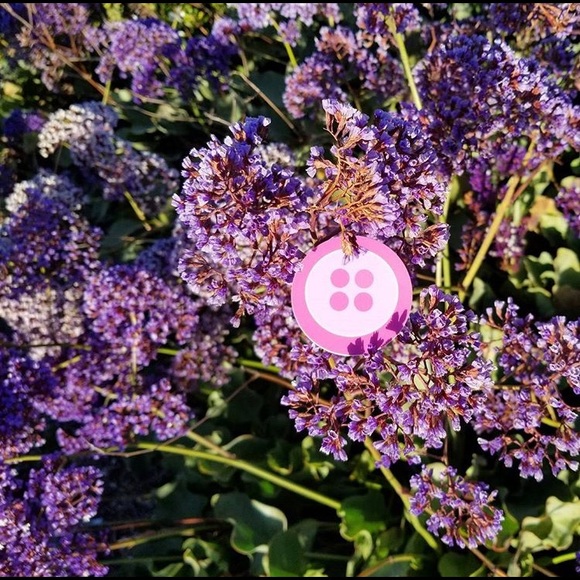 Meet Jeanette! (MsPinkButton) - Picture 5 of 5